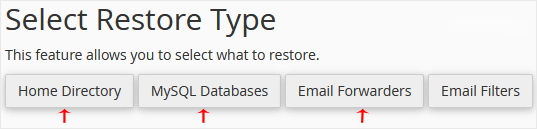 cPanel Backup Restore Type